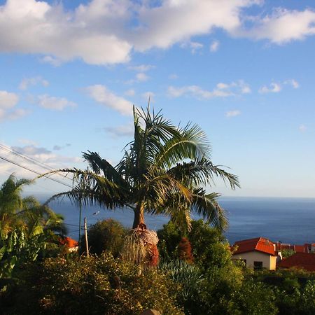 Lugar Dos Louros 2 Lejlighed Estreito Da Calheta Eksteriør billede