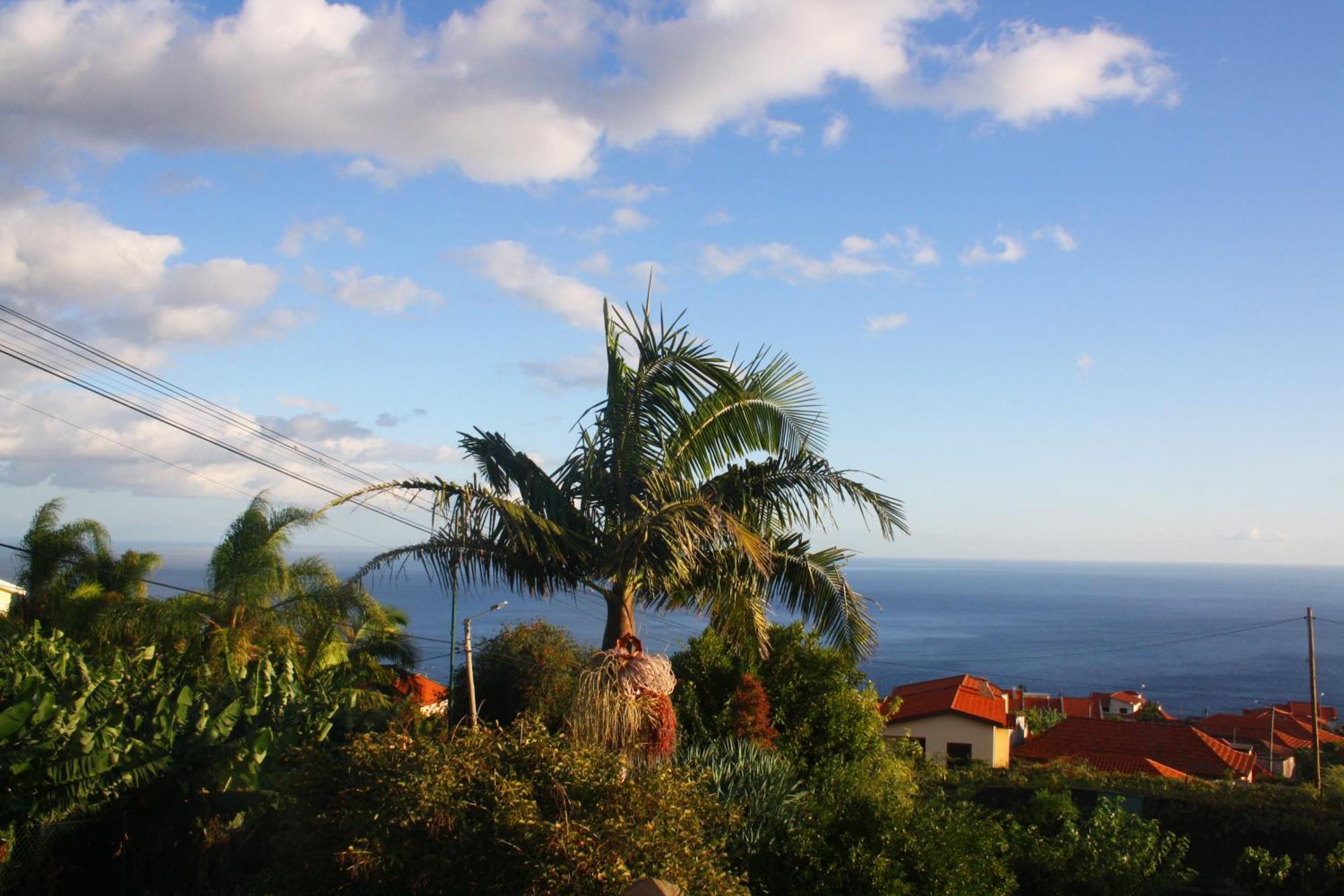Lugar Dos Louros 2 Lejlighed Estreito Da Calheta Eksteriør billede