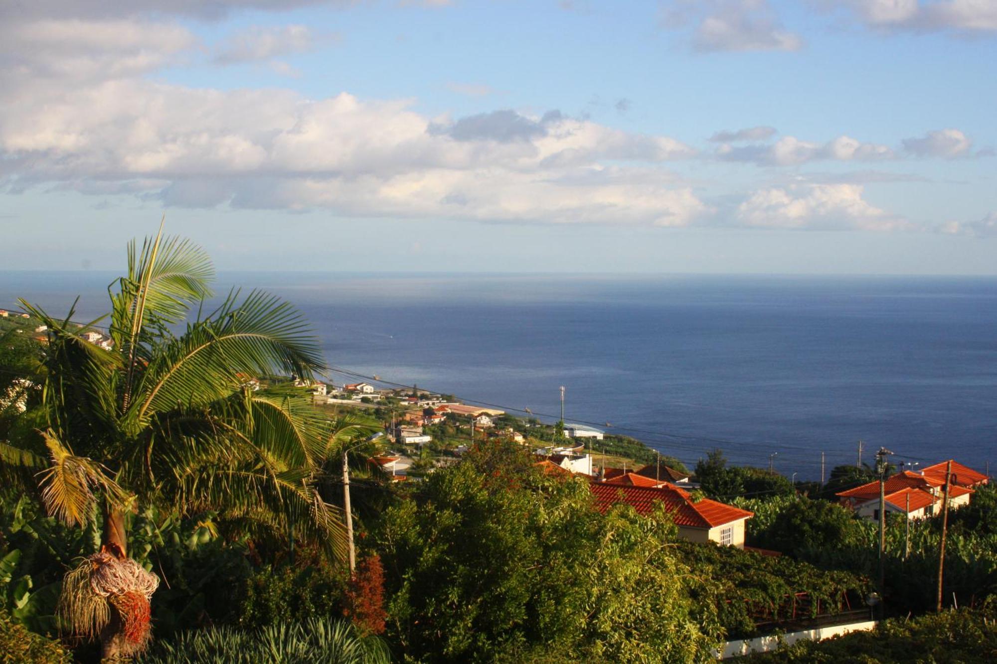 Lugar Dos Louros 2 Lejlighed Estreito Da Calheta Eksteriør billede