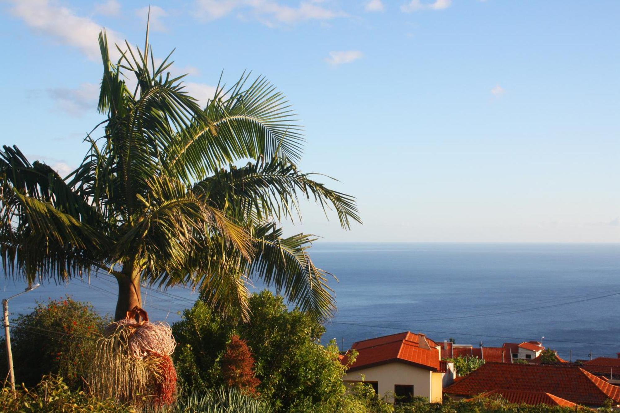 Lugar Dos Louros 2 Lejlighed Estreito Da Calheta Eksteriør billede